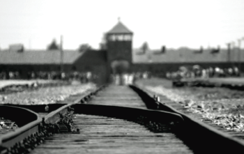 19_holocaust_memisevic